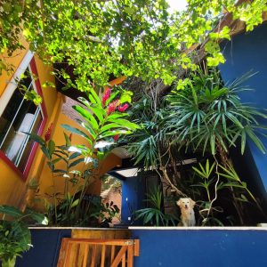 Casa_Costazul_jardins_05