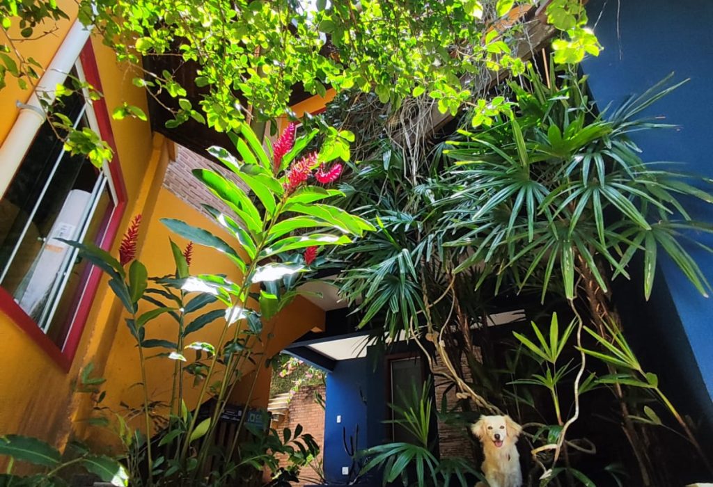 Casa_Costazul_jardins_05