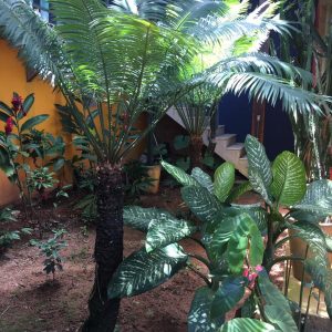 Casa_Costazul_jardins_07